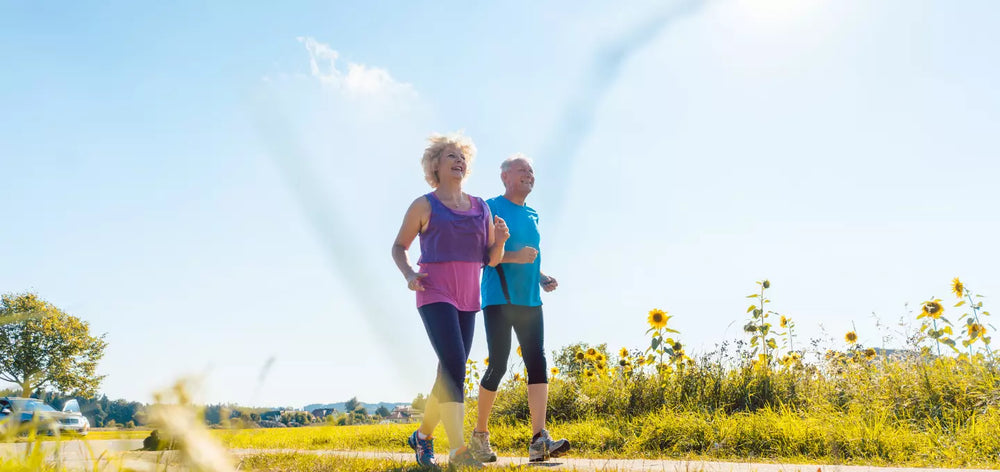 Beyond the Brain: Exploring the Impact of Lion's Mane Supplements on Overall Health