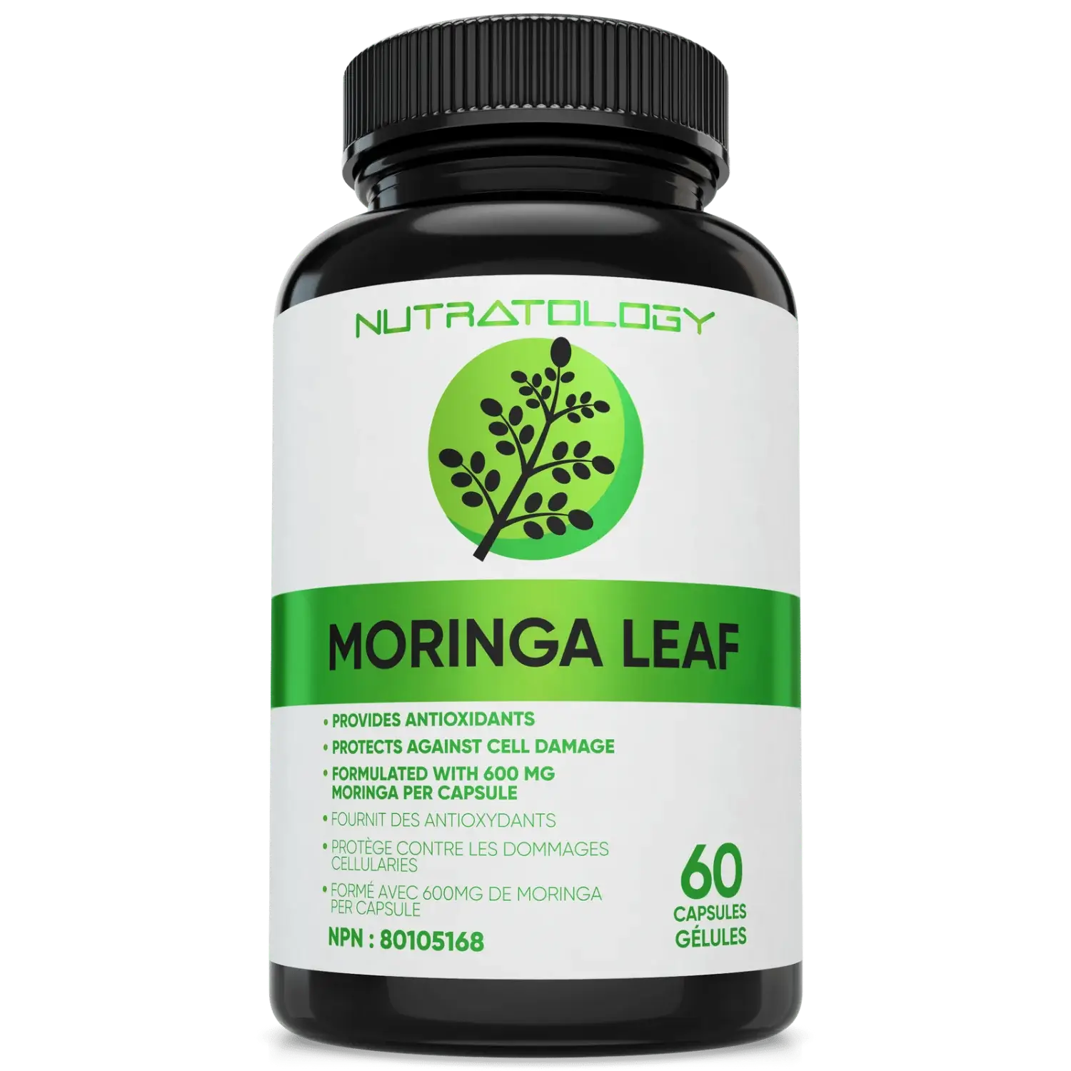 Moringa Leaf Powder supplement for Energy and Immunity 