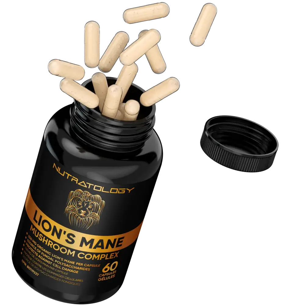 Organic Lion's Mane Mushroom Complex for immune system boost 