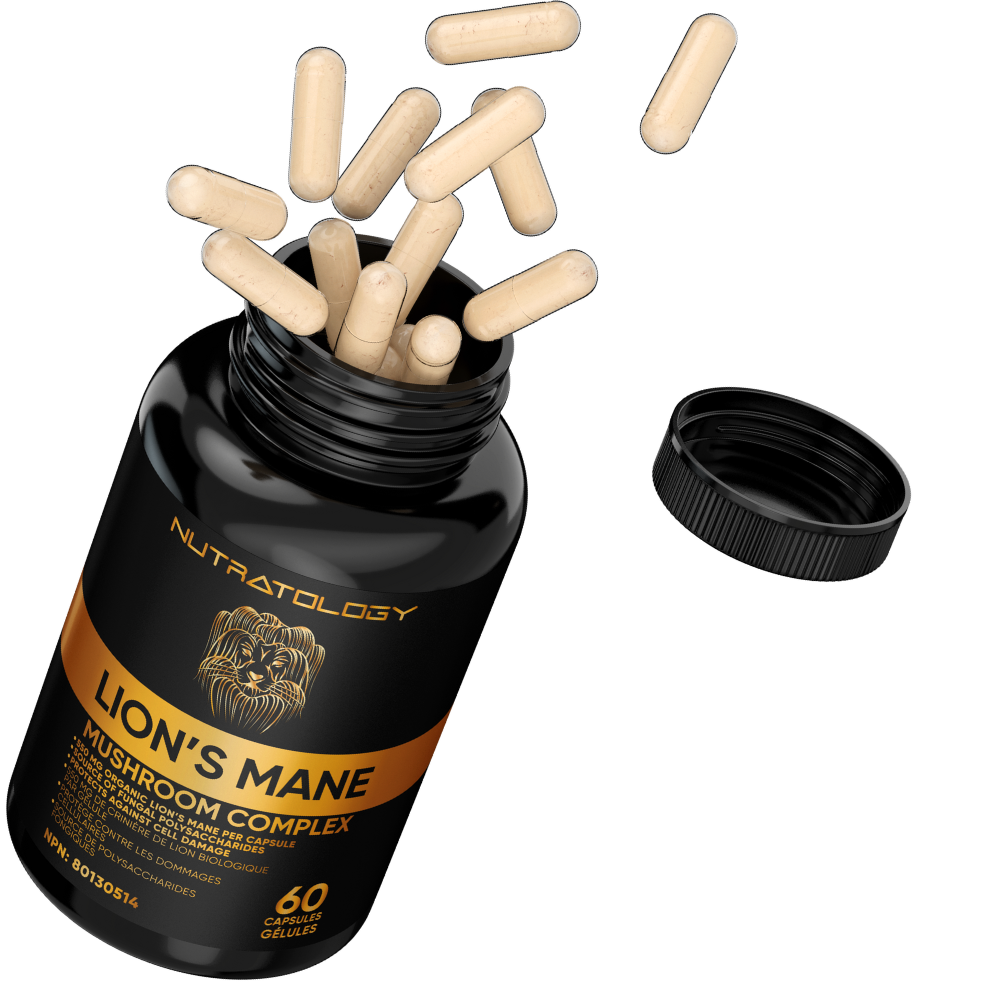 Organic Lion's Mane Mushroom Complex for immune system boost 